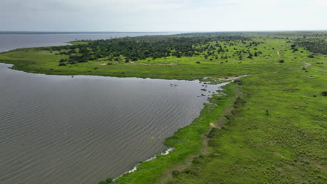 Views-over-a-group-of-hippopotamus-in-a-lake,-Uganda