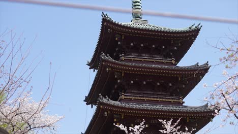 Ciudad-De-Tokio-En-Japón,-Templo-En-Japón,-Arquitectura