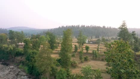 Aerial-drone-view-moving-towards-the-front-where-the-temple-is-visible-with-tall-trees-and-residential-houses-and-fields