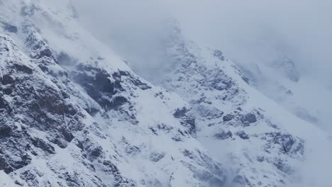 Neblige-Berglandschaft-Mit-Schneebedeckten-Kiefern