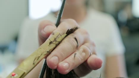 Closeup-slow-motion-shot-of-hair-being-cut-by-scissors-in-a-hair-salon