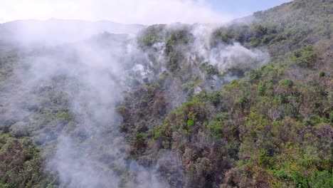 Smoke-rises-through-treetops-from-forest-fire,-Cabo-Cabron-National-Park