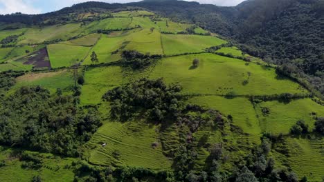 film-clip-of-green-meadows-on-the-slopes-of-the-Pasochoa-volcano-in-Machachi,-Pichincha-Province,-Ecuador