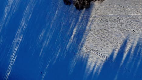 Winter-aerial,-snowy-field-with-long-shadows-cast-by-trees