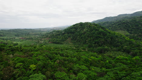 Aerial-panoramic-view-of-vast-tropical-forest-and-cultivated-cocoa-plantations