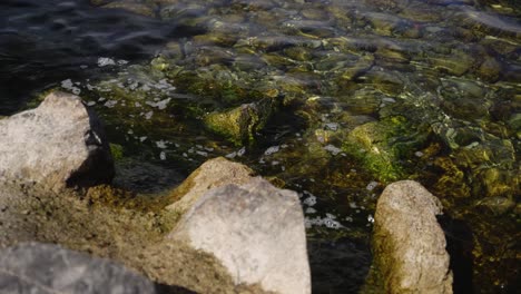 Small-waves-on-the-pebble-beach