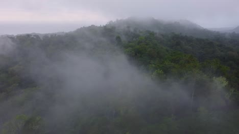 Mist,-Cloud-And-Fog-Hanging-Over-A-Lush-Tropical-Rainforest-In-Minca,-Colombia