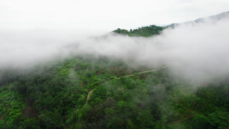 Fliegen-Sie-Nach-Dem-Regen-über-Die-Landschaft