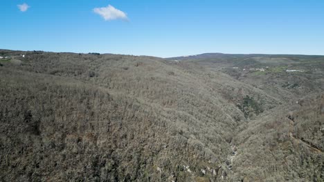 Panoramic-aerial-overview-of-Navea-River-and-leafless-chestnut-oak-tree-forest-on-mountain-side