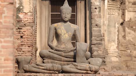 Free-Roaming-Monkey-in-Lopburi,-Thailand