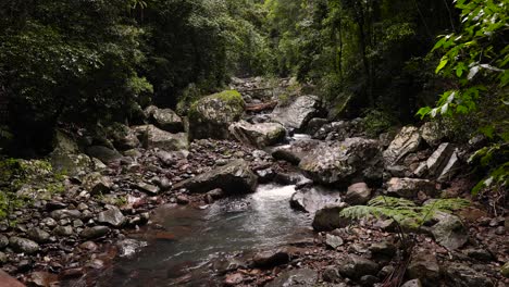 Amplia-Vista-De-La-Parte-Inferior-De-Cave-Creek-Desde-El-Sendero-Para-Caminar,-Puente-Natural,-Parque-Nacional-Springbrook