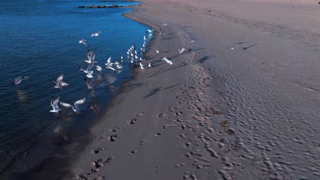 A-low-angle-view-of-the-empty-beach-on-Reynolds-Channel-in-Atlantic-Beach,-NY-during-sunrise