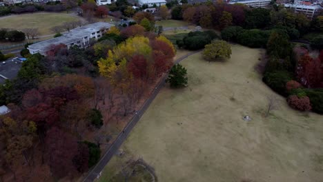A-colorful-autumn-park-with-walking-paths-and-sparse-visitors,-overcast-day,-serene,-aerial-view