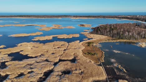 Wooden-Bords-Trail-Through-the-Kaniera-Lake-Reeds-Aerial-Spring-Shot-Lapmezciems,-Latvia