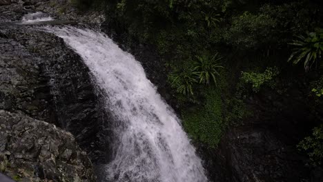 Close-shot-from-the-top-of-the-waterfall-on-Cave-Creek-from-the-walking-trail,-Natural-Bridge,-Springbrook-National-Park
