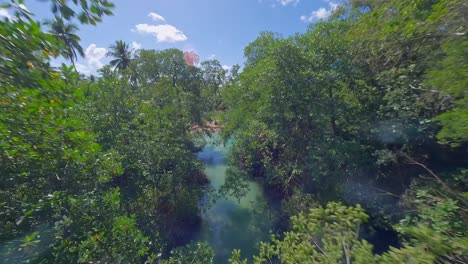 Cano-Frio-river-in-Las-Galeras,-Samana,-Dominican-Republic_drone-fpv