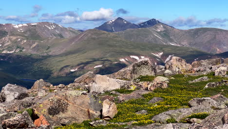 Mount-Blue-Sky-Evans-fourteener-yellow-wildflowers-high-elevation-peak-mountaineering-hike-hiking-adventure-Rocky-Mountains-Continental-Divide-summer-sunny-blue-bird-high-elevation-landscape