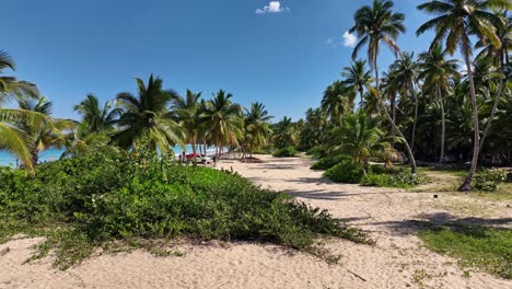 Luftaufnahmen-Von-Tiefflug-über-Karibischem-Strandsand-An-Einem-Sonnigen-Tag,-Dominikanische-Republik
