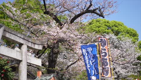 Ciudad-De-Tokio-En-Japón,-árboles-Japoneses,-Ueno