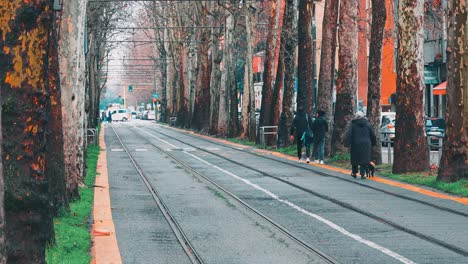 Nature-and-city-together