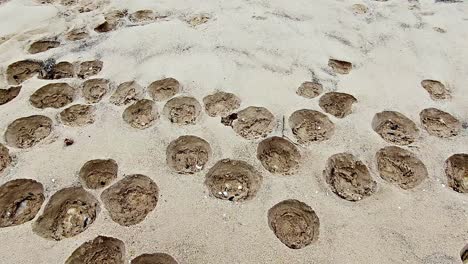 Ein-Strand-Mit-Vielen-Kleinen-Löchern-Im-Sand