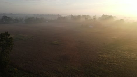 Foggy-farm-fields-on-golden-hour,-Michigan,-USA