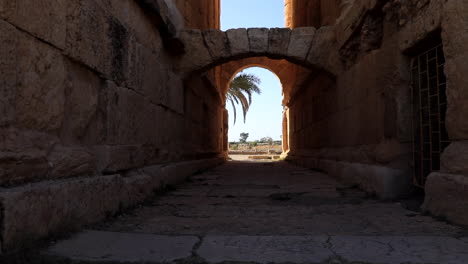 Ancient-Roman-archway-framing-a-single-palm-tree-under-clear-blue-sky,-Sbeitla,-Tunisia