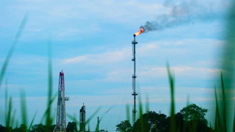 Fire-burning-on-top-of-gas-flare-stack-chimney-on-petroleum-refinery-with-crops-in-the-foreground