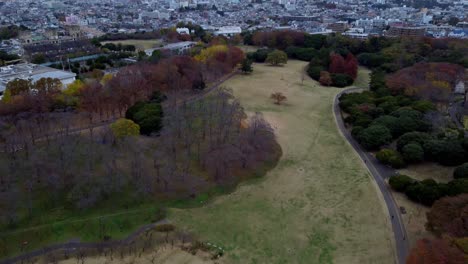 A-serene-park-with-a-winding-path,-trees-in-autumn-colors,-overcast-sky,-and-city-background-aerial-view