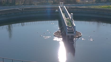 Vista-De-Cerca-De-Una-Planta-De-Tratamiento-De-Aguas-Residuales-Con-Patos-Nadando-Alrededor-Del-Lago-De-Agua-Purificada.