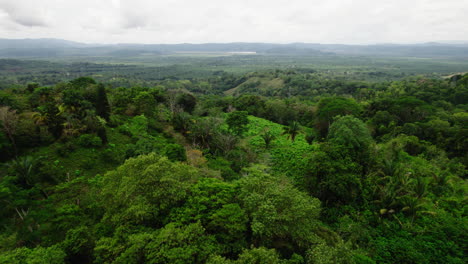 Aerial-panoramic-footage-of-natural-scenery