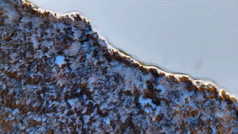 Luftaufnahme-Eines-Schneebedeckten-Feldes-Neben-Einem-Gewundenen-Fluss,-Mit-Immergrünen-Bäumen-Entlang-Des-Ufers