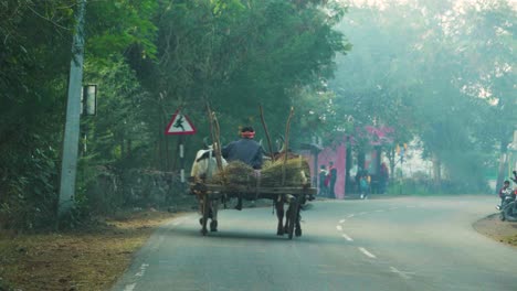 A-bullock-cart-and-its-driver-going-down-a-village-road-on-a-winter-morning-in-central-india