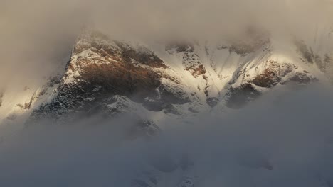 Winternebel-Verleiht-Den-Bergkiefern-Eine-ätherische-Note