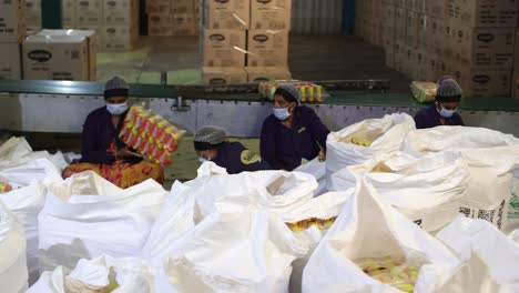 pov-shot-many-men-packing-papdi-nautia-packets-into-a-big-bag-on-the-conveyor