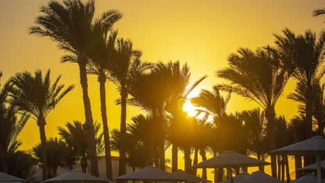 Wunderschöne-Zeitrafferaufnahmen-Des-Sonnenuntergangs-Zwischen-Palmensilhouetten,-Mit-Dem-Orangefarbenen-Himmel-Im-Hintergrund