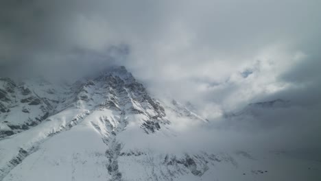 Schneebedeckte-Kiefern-Verschmelzen-Mit-Der-Nebligen-Kulisse