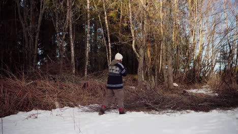 The-Man-is-Stacking-Kindling-Beside-the-Forest-to-be-Utilized-as-Firewood-Throughout-the-Winter-Season-in-Indre-Fosen,-Trondelag-County,-Norway---Static-Shot