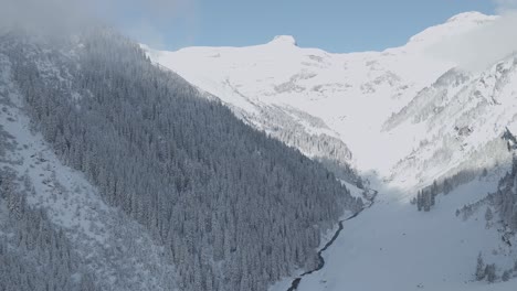 Foggy-view-of-snow-covered-mountain-pine-trees