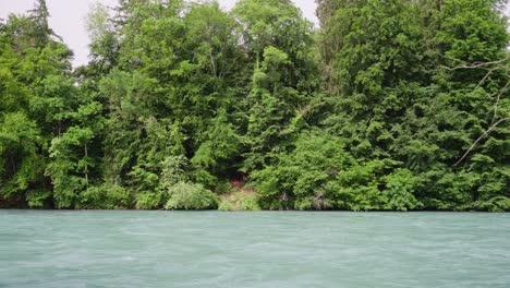 River-with-trees-in-background