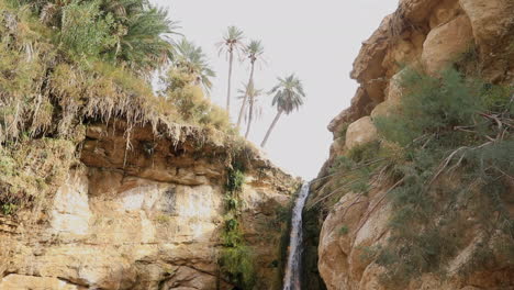 Oasis-Aislado-En-Cascada-En-Tozeur,-Túnez,-Con-Exuberante-Vegetación-Y-Terreno-Rocoso,-Toma-De-Luz-Diurna