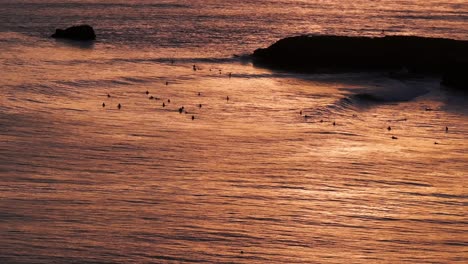 Drone-aerial-shot-zoomed-in-on-surfers-waiting-to-hit-waves-in-the-perfect-sunset