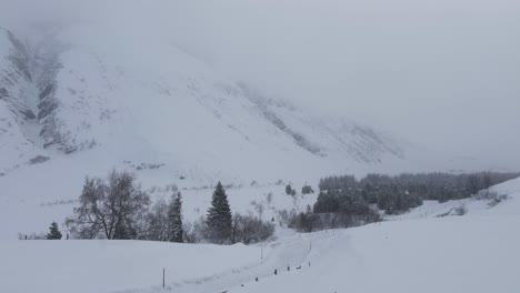 Foggy-winter-morning-among-snow-covered-mountain-pines