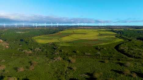 Weite-Aufnahme-Der-Windturbinen-Des-Windparks-Kawailoa,-Die-Erneuerbare-Energie-Liefern