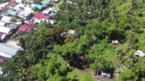 Basic-Filipino-tin-houses-among-tropical-nature-foliage,-Drone-view