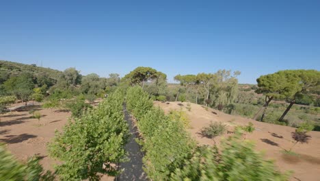 A-drone-glides-over-the-garden,-soaring-above-the-trees-within-the-serene-surroundings-of-Marmolejo-Spa-Center,-situated-in-Jaén-province,-Andalusia,-southern-Spain