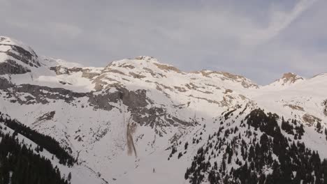 Nebelbedeckte-Bergkiefern-In-Einer-Verschneiten-Landschaft