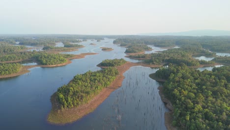 Sunken-forrest-with-dead-trees