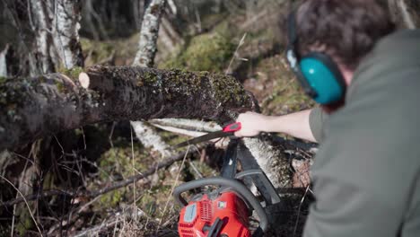 El-Hombre-Emplea-Una-Sierra-Y-Una-Motosierra-Para-Talar-árboles-En-Indre-Fosen,-Condado-De-Trondelag,-Noruega---Primer-Plano