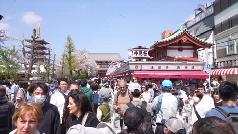 tourists,-Tokyo-shrines,-Asakusa,-Sensoji,-timelapse,-Japanese-temple-in-Tokyo